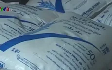 Quảng Trị: Bắt hai vụ buôn lậu lớn trên biên giới