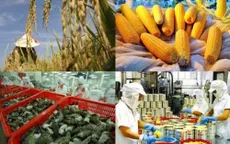 Đẩy mạnh xây dựng chuỗi giá trị để nông sản đi xa