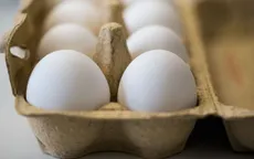 Hà Lan: 2 đối tượng liên quan đến vụ trứng "bẩn" hầu tòa