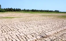 El Nino có thể quay lại trong năm nay