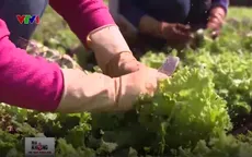 Thay đổi tư duy và cách làm nông nghiệp an toàn của người nông dân