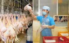 Sản phẩm từ gà Việt Nam sắp xuất khẩu sang Nhật Bản
