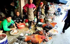 Người dân vẫn thờ ơ với dịch cúm A/H7N9