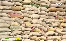 Không xuất khẩu được gạo chính ngạch, DN đứng trước nguy cơ đóng cửa