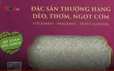Sản phẩm gạo sạch chất lượng cao: Cung không đủ cầu