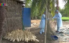 Dịch cúm A/H7N9 có nguy cơ tràn vào Việt Nam