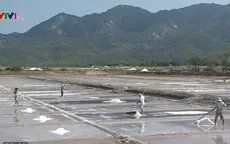 Giá muối cao, diêm dân vẫn chưa thể sản xuất