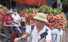Giá vải thiều giảm mạnh do Trung Quốc ngừng mua