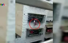 Giải cứu bé gái treo lơ lửng trên tầng 4