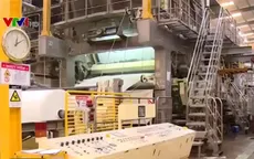 "Sốt" giấy cuộn carton do nhu cầu từ Trung Quốc tăng cao