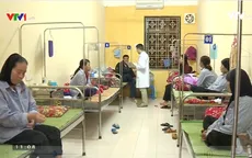 Nguy hại khi nhiễm ấu trùng giun chó mèo