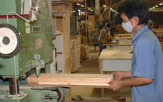 Nhiều doanh nghiệp nhập khẩu gỗ từ Lào đứng trước nguy cơ phá sản