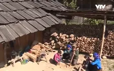 Ngọc Chiến - Xứ sở của những mái nhà gỗ pơ mu