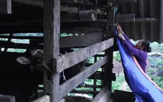 Người dân vùng cao Hà Giang chống rét