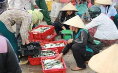 Kinh doanh hải sản ở Hà Tĩnh ổn định trở lại