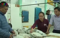 Quảng Bình: Áp giá bồi thường hải sản tồn kho vụ Formosa