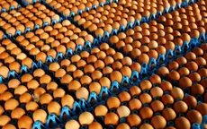 Hàn Quốc lệnh thanh tra toàn ngành thực phẩm