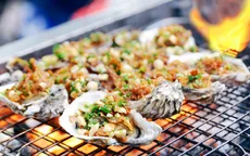 Cận cảnh quá trình nuôi hàu sữa ít người biết
