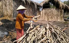 Nghệ An: Tỷ lệ hộ nghèo giảm gần 20%