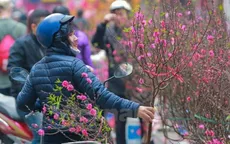 Chính phủ dự kiến quyết định thời gian nghỉ Tết Nguyên đán 7 ngày