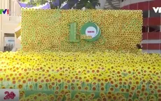 Ngày hội Hoa hướng dương vì bệnh nhân ung thư