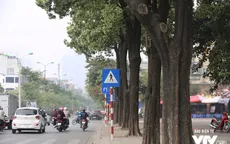 Hà Nội rà soát và thay đổi mật độ hoa sữa trong thành phố