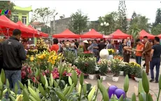 Rộn ràng lễ hội Hoa xuân Hoành Bồ, Quảng Ninh