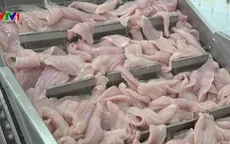 Hội chợ cá tra và sản phẩm thủy sản Việt Nam diễn ra từ ngày 6 - 8/10