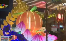 Khai mạc hội đèn hoa xuân Đinh Dậu 2017