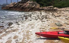 Đóng cửa 13 bãi biển ở Hong Kong (Trung Quốc) sau sự cố tràn dầu