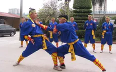 Hùng kê quyền - Bài võ gà lợi hại của anh em nhà Tây Sơn