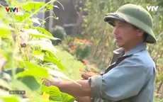 Nông nghiệp hữu cơ tự chứng nhận