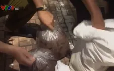 Bắt giữ vụ vận chuyển huyết, lòng lợn tại An Giang