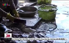Vũng Tàu: Kinh hoàng công nghệ chế biến cá khô ở làng chài Đất Đỏ
