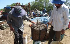 Món ngon từ mỏ vịt - Đặc sản dân dã vùng biển Tiền Giang