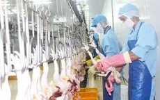 Nhật Bản chính thức nhập khẩu thịt gà của Việt Nam