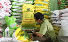 Nông dân Bình Thuận điêu đứng vì phân bón kém chất lượng