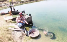 Yêu cầu Nhà máy Đường Khánh Hòa bồi thường ô nhiễm gần 7 tỉ đồng