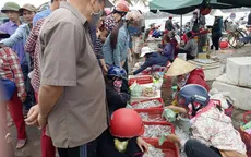 Quảng Bình: Tiêu thụ hải sản ở chợ Đồng Hới nhộn nhịp trở lại