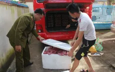 Bắt giữ xe ô tô chở gần 200kg thịt động vật không rõ nguồn gốc tại Đăk Lăk