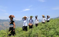 Những chương trình không thể bỏ lỡ trên sóng VTV7 trong năm 2017
