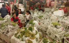 Chợ Long Biên tấp nập những ngày giáp Tết