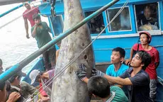 Cá ngừ đại dương 307kg được xác lập Kỷ lục Việt Nam
