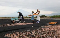 Sắc màu Nhật Bản mùa 2 - Tập 3: Thưởng thức đặc sản tôm hồng Sakura Ebi