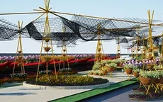 Khai mạc chợ hoa Xuân Bình Điền 2017 tại TP.HCM