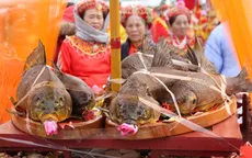 Độc đáo Lễ rước cá khai hội đền Trần - Thái Bình 2017