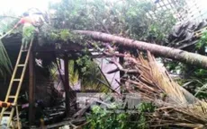 Lốc xoáy kéo dài 5 phút ở Indonesia, 35 người bị thương, 600 ngôi nhà hư hại