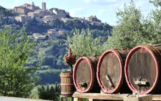Du lịch rượu vang tại Italy