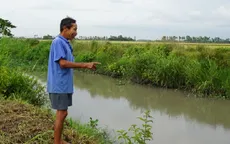 Kênh thủy lợi chính bị thu hẹp, người dân Hậu Giang khổ đủ đường