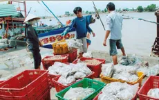Bạc Liêu tăng cường kiểm soát hoạt động khai thác thủy sản